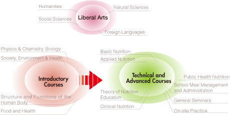 Structure and Curriculum