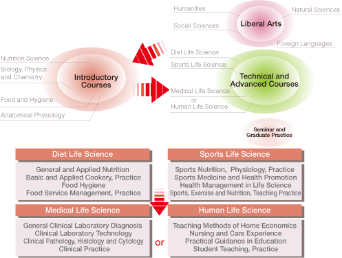 Structure and Curriculum